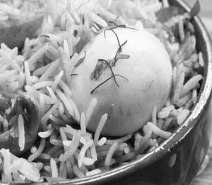 Egg Biryani