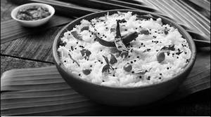 Curd Rice