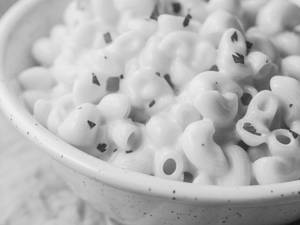 Cheese Macaroni Pasta