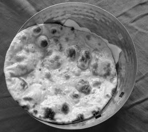 Tandoori Roti