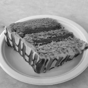 Peanut Butter Cake Slice