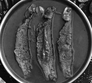 Fish Curry Boneless