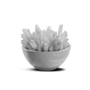 Fries (L)