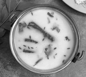 Kadhi