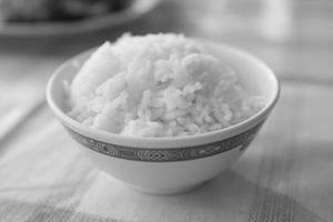 Plain Rice