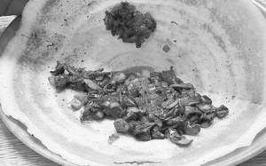 Mushroom Dosai