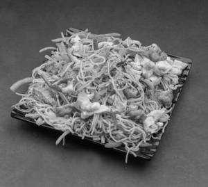 Double Chicken Noodles