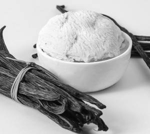 Vanilla Sugar Free (500 ml Ice cream)