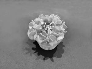 Blueberry Cup Cake (Pack of 2)