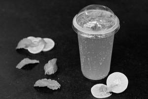 Lemon Mint Crusher  