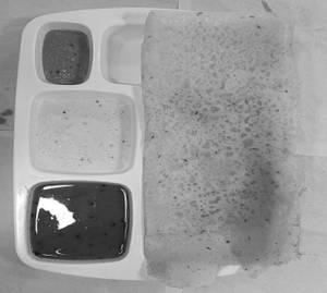 Rawa Sada Dosa
