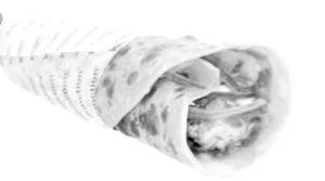 Paneer Roll