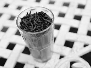 Cold Choco Delight