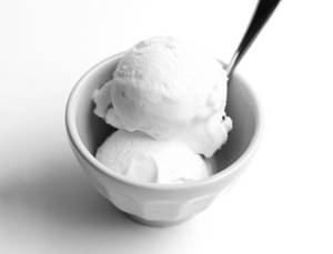 Vanilla Ice Cream (Brick)