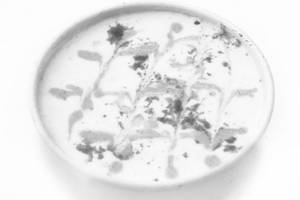 Mixed Raita