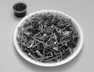 Veg Schezwan Chow