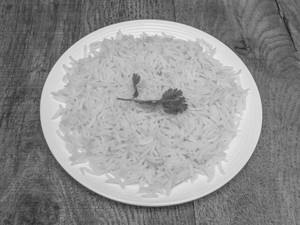 Plain Rice