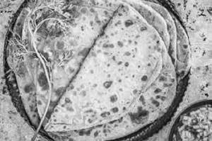 Plain Paratha