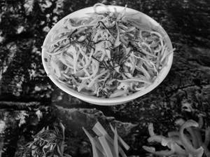 Veg Hakka Noodles