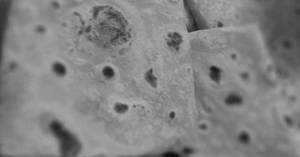 BUTTER ROOMALI ROTI