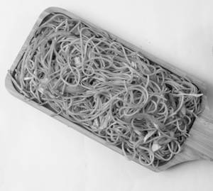 Singapore Chow mein