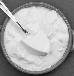 Plain Dahi