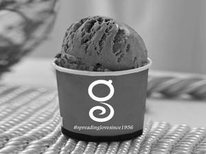 Choco Chip Ice Cream