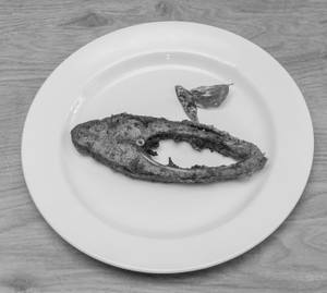 Fish Fry [1 Pcs] (vetki)