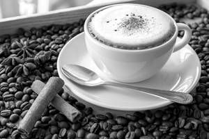 Cappuccino (250 Ml)