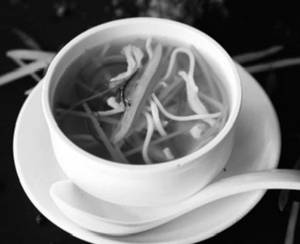 Chicken Noodle Soup