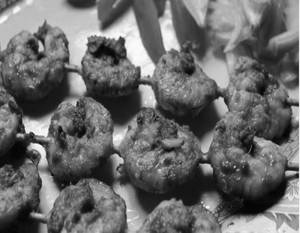 Grilled Prawn