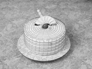 Kiwi Cake