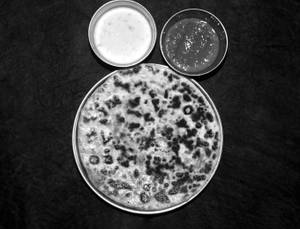Aloo Paratha