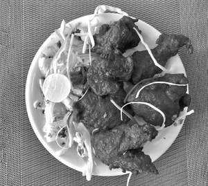 Chicken Kabab [Indian Style]