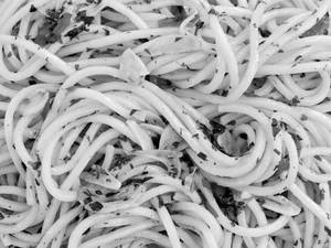 Chicken Noodles