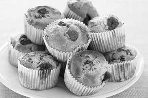 Fruit Muffin