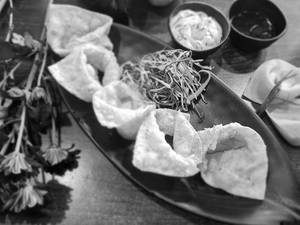 Wonton Fried