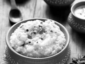 Pongal 