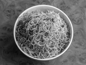 Chilli Garlic Noodles