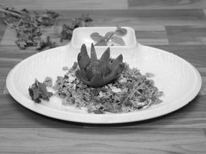 Special Veg Biryani