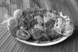 Surmai Fry