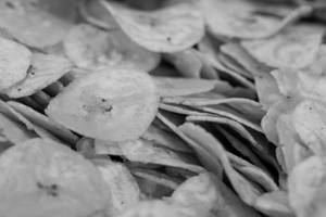 Banana Chips Ultra Thin Wafers