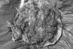 Valai Ilai Egg Parotta