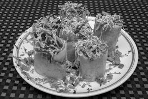 Spring Dosa