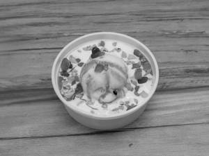 Fruits & Cream