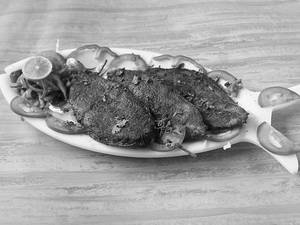 Surmai Tawa Fry