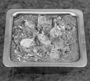 Mushroom Curry
