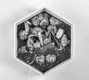 Chicken Manchurian 