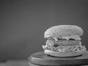 Crispy Paneer Veg Burgers