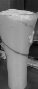 Mango Juice